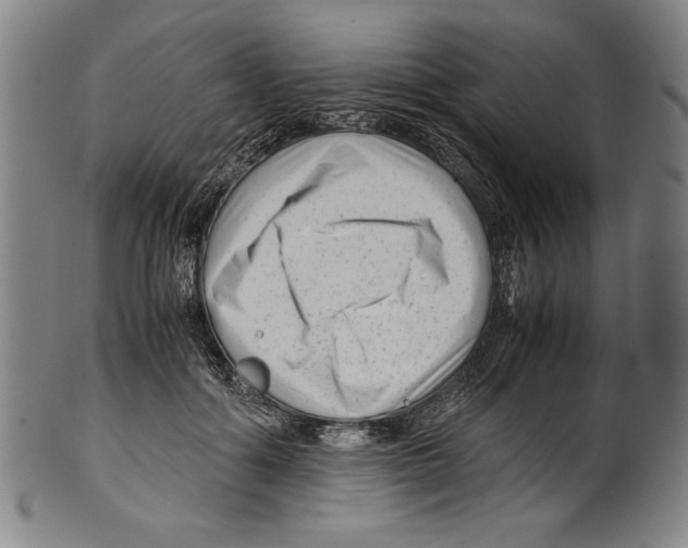 X0000099430602200806061021