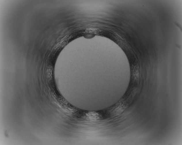 X0000099430603200806061021