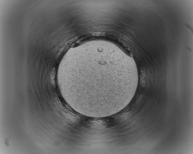 X0000099430604200806061021