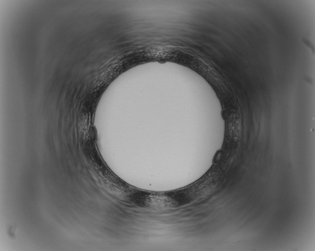 X0000099430605200806061021