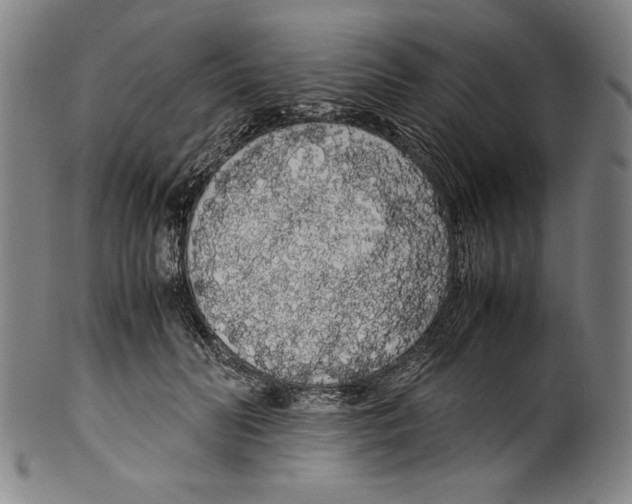 X0000099430606200806061021