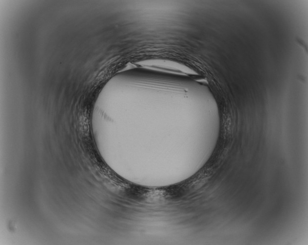 X0000099430609200806061021