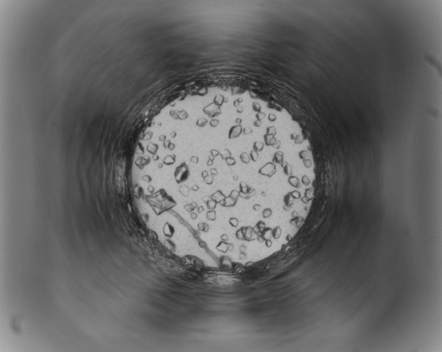 X0000099430610200806061021