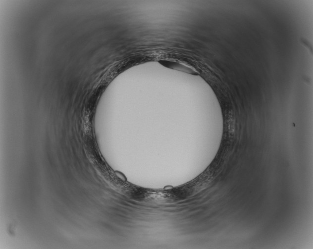 X0000099430611200806061021