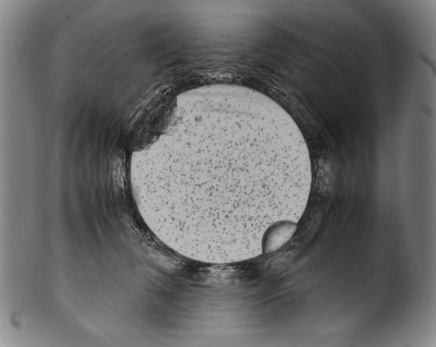 X0000099430612200806061021