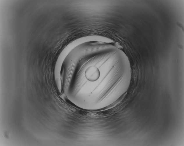 X0000099430613200806061021