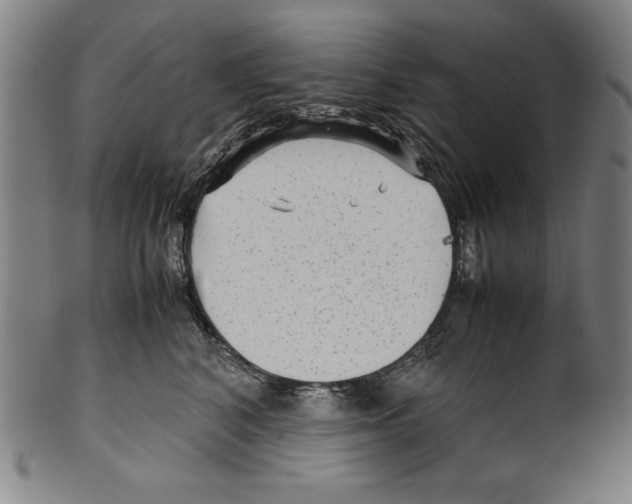 X0000099430616200806061021