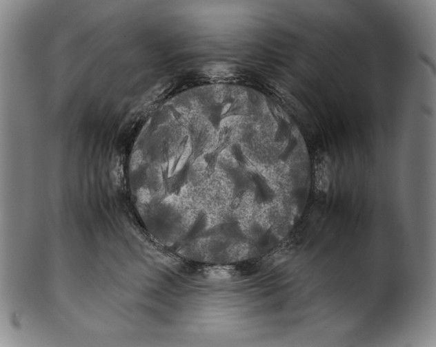 X0000099430618200806061021