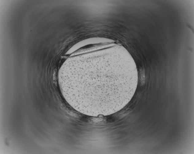 X0000099430619200806061021