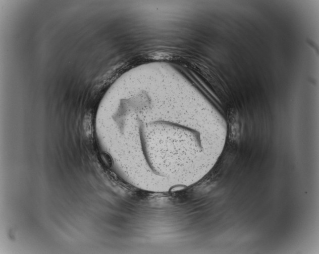 X0000099430620200806061021