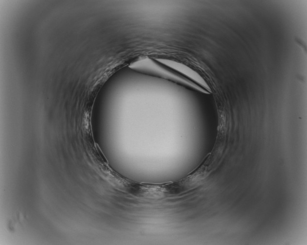 X0000099430621200806061021