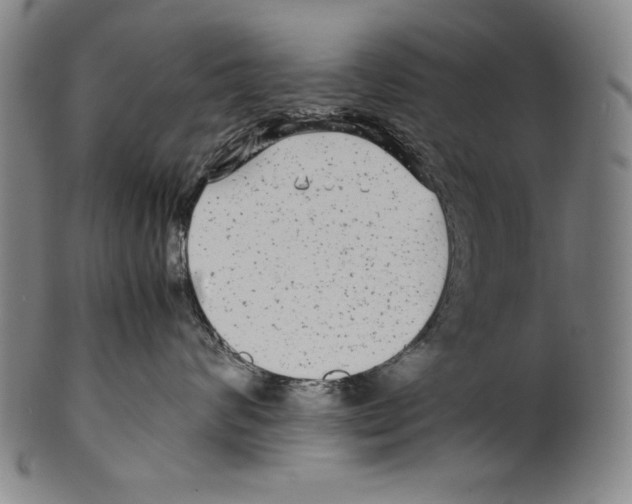 X0000099430624200806061021