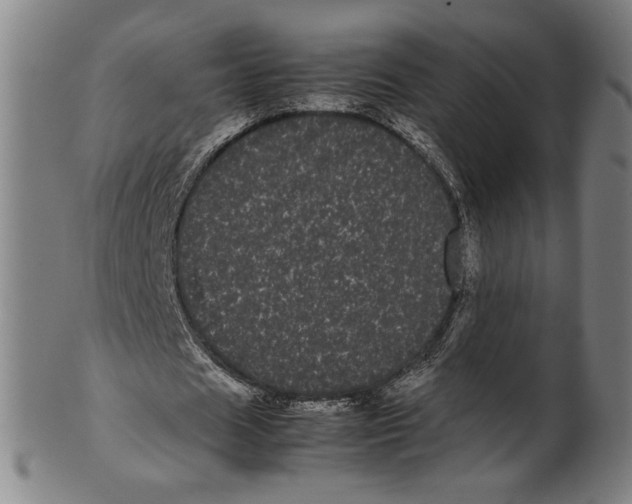 X0000099430625200806061020