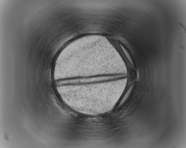 X0000099430627200806061020