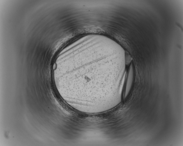 X0000099430630200806061020