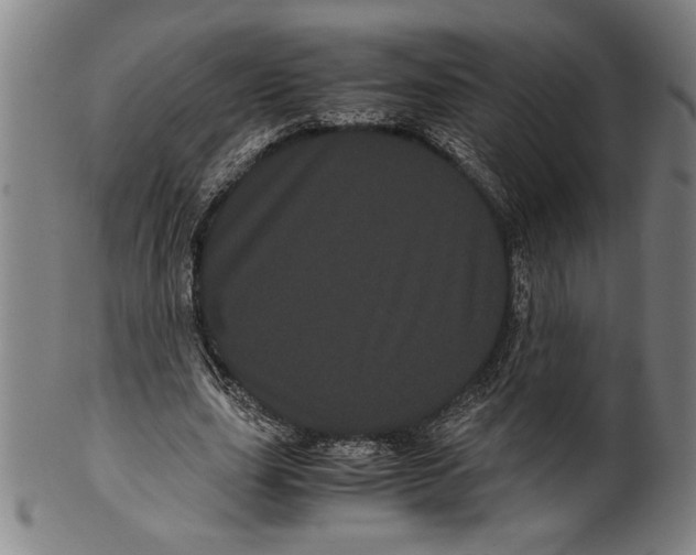 X0000099430631200806061020