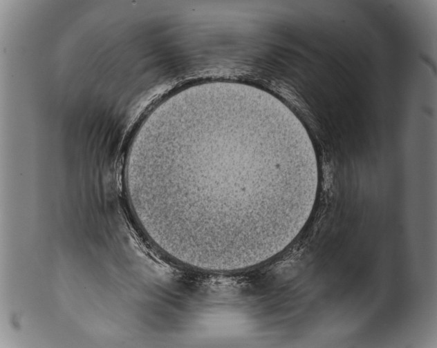 X0000099430632200806061020