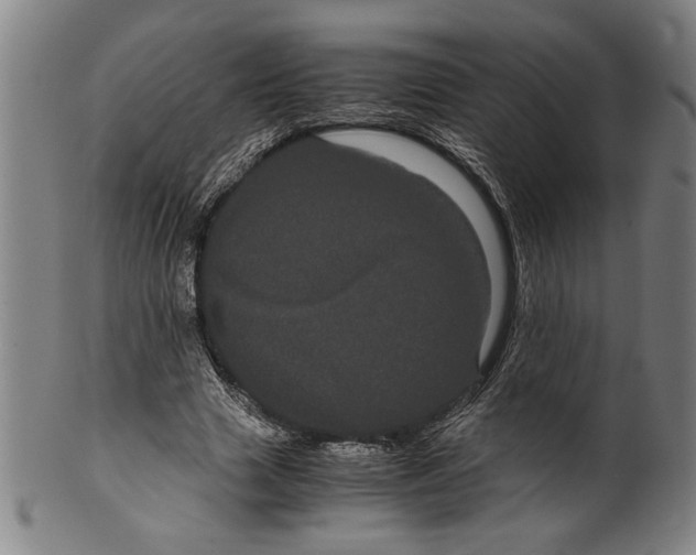 X0000099430633200806061020