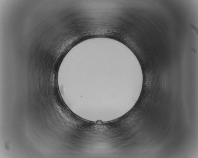 X0000099430636200806061020