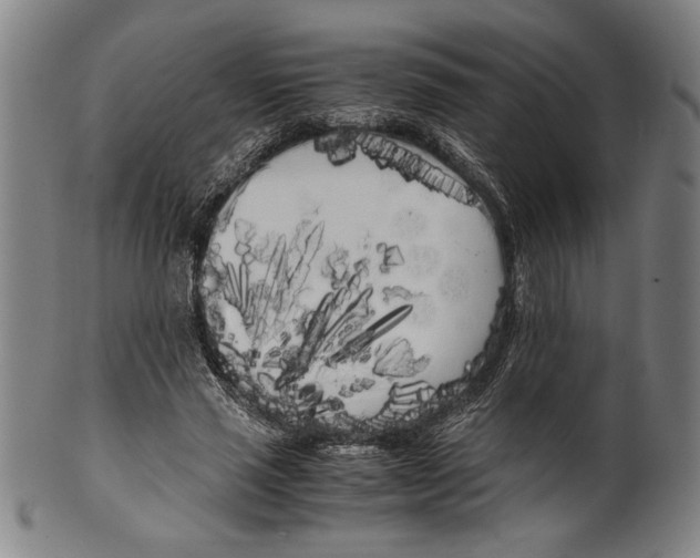 X0000099430637200806061020