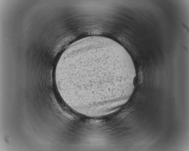 X0000099430638200806061020