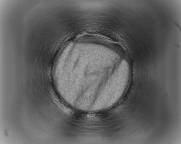 X0000099430641200806061020