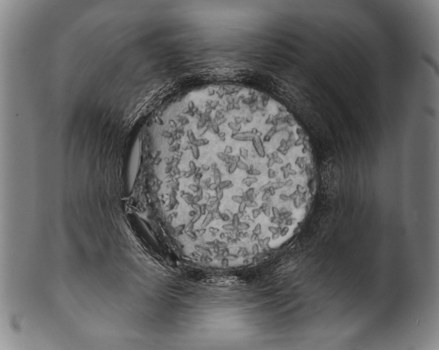 X0000099430642200806061020