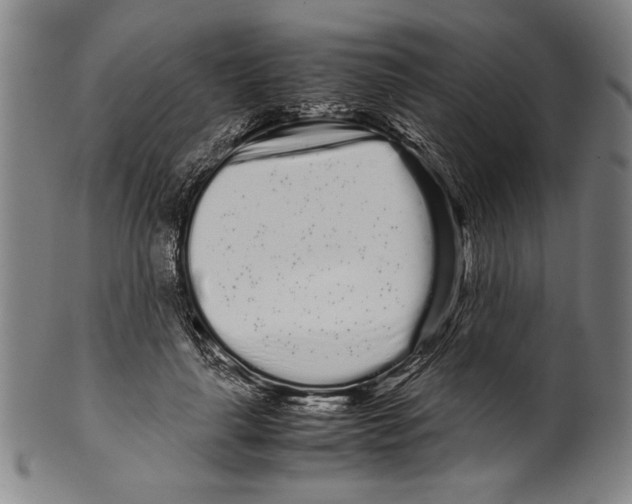 X0000099430643200806061020