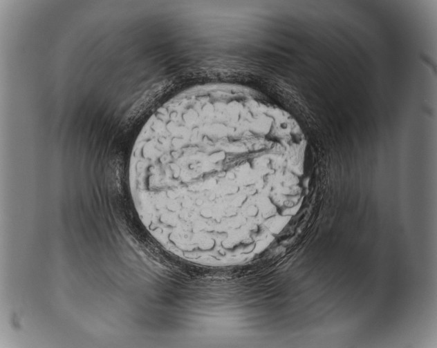 X0000099430644200806061020