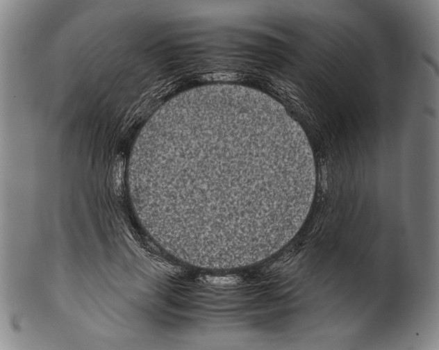 X0000099430645200806061020