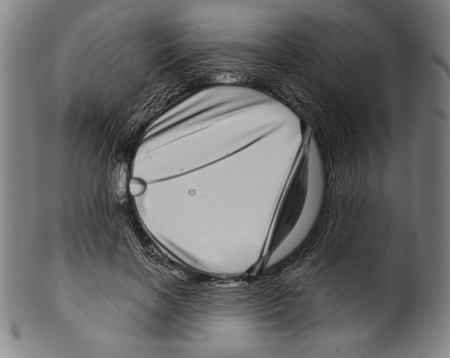 X0000099430646200806061020