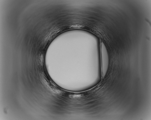 X0000099430647200806061020