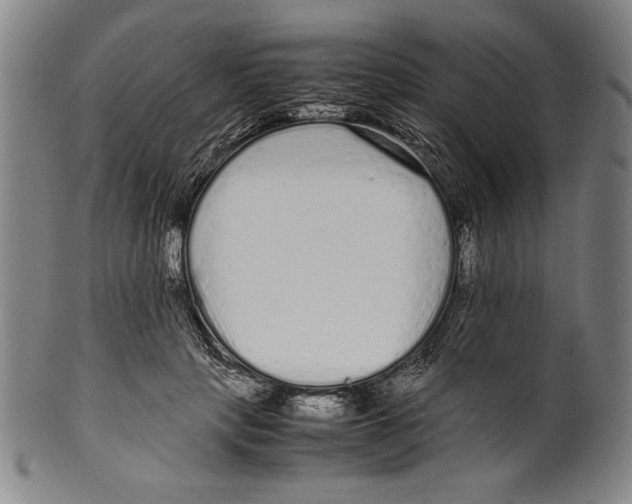 X0000099430649200806061020