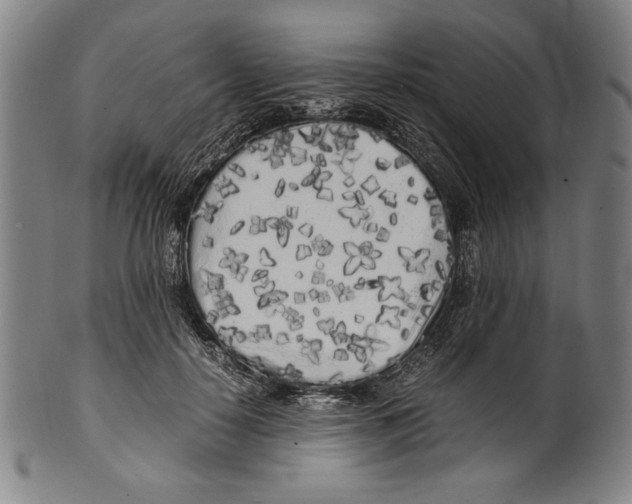 X0000099430650200806061020