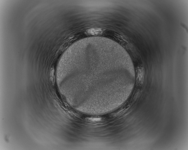 X0000099430651200806061020