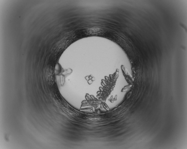 X0000099430653200806061020