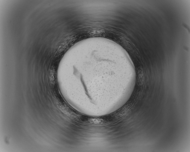 X0000099430654200806061020