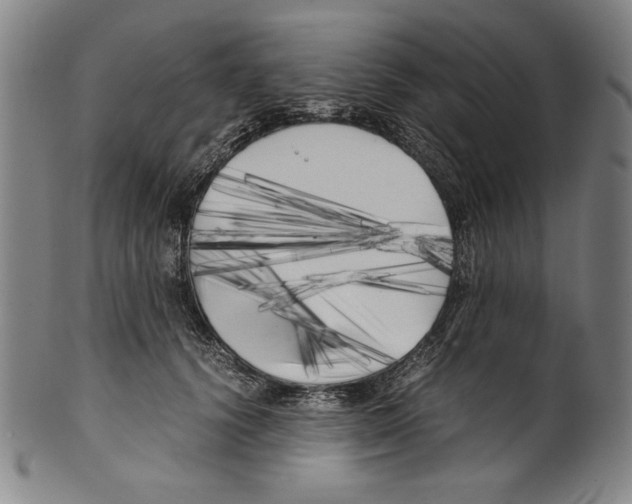 X0000099430656200806061020