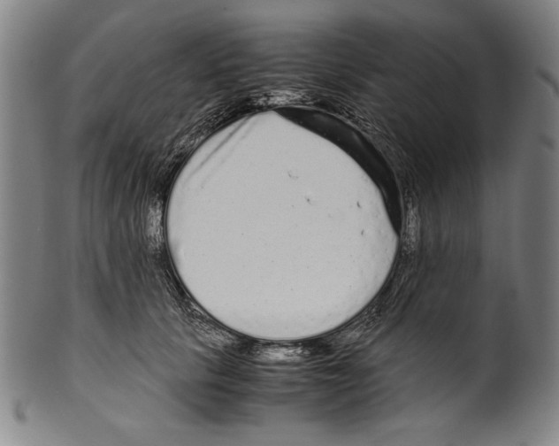 X0000099430657200806061020