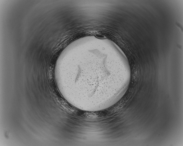 X0000099430658200806061020