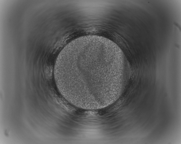 X0000099430660200806061020