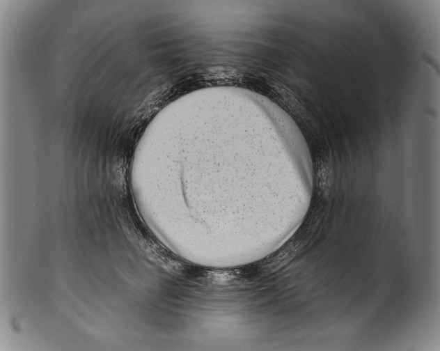 X0000099430662200806061021