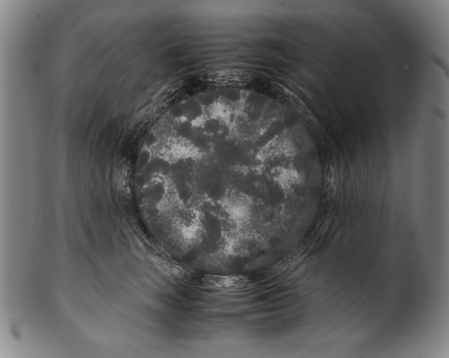 X0000099430663200806061021