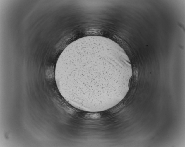 X0000099430665200806061021