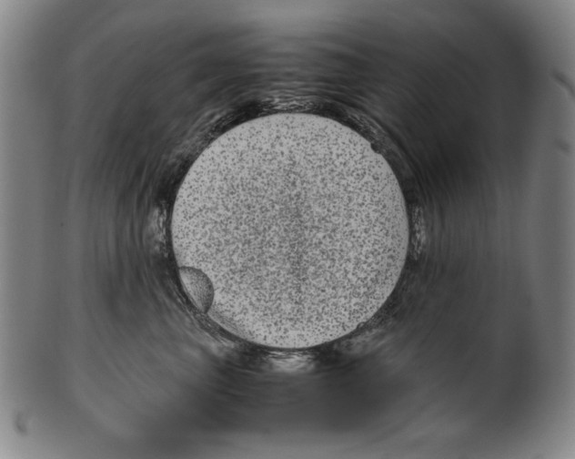 X0000099430667200806061021