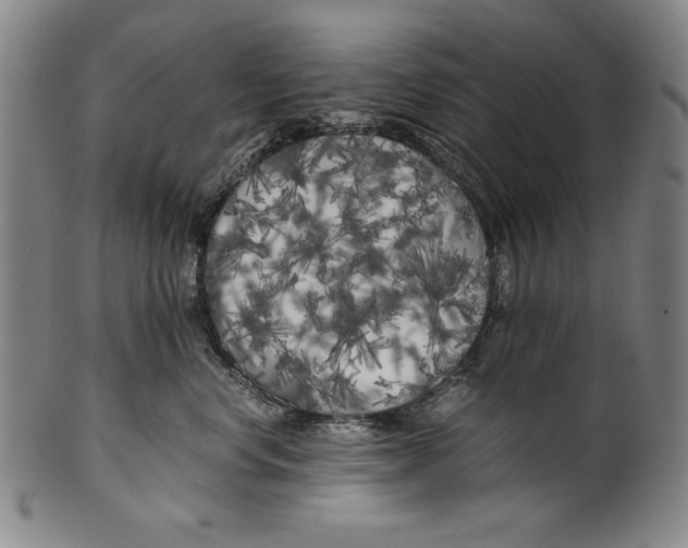 X0000099430668200806061021