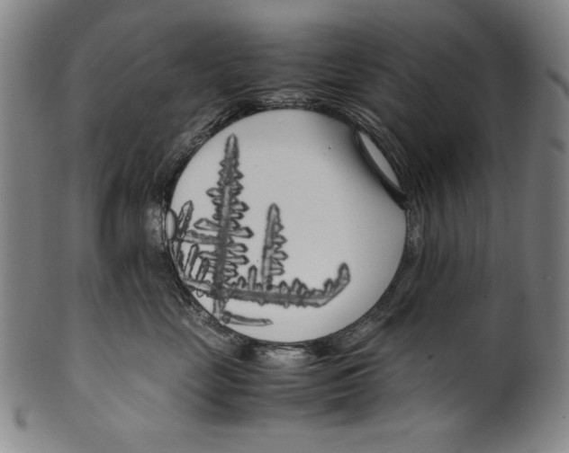 X0000099430669200806061021