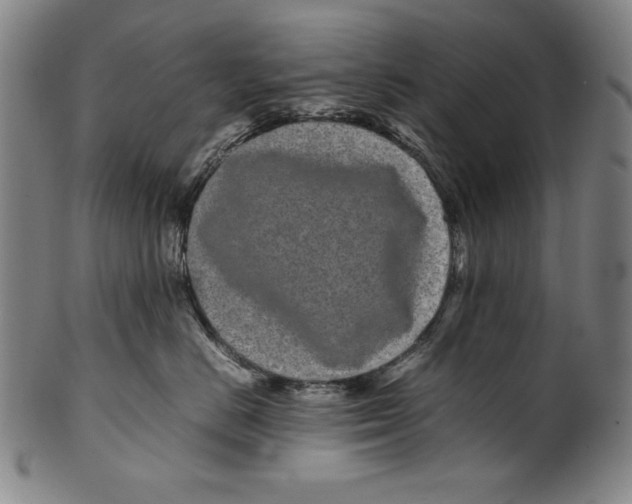 X0000099430670200806061021