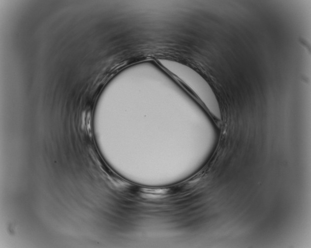 X0000099430671200806061021