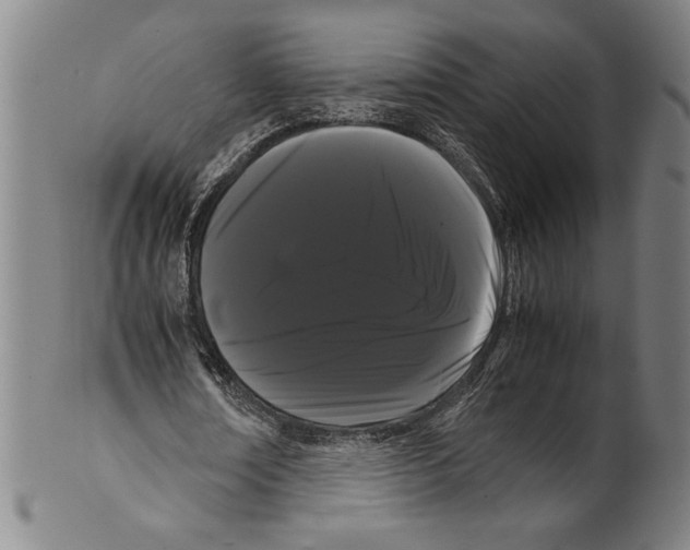 X0000099430674200806061020